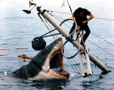 Jaws 40th Anniversary 40 Facts About Spielbergs Infamous Shark Movie