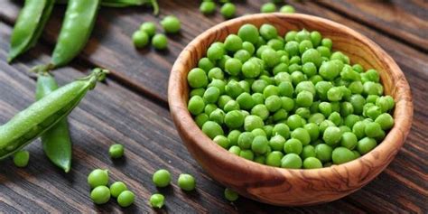 Itulah beberapa jenis manfaat kacang hijau untuk lovebird yang dapat menjadi alternatif pengganti pakan utama dengan beberapa manfaat yang ada sehingga cocok dengan kebutuhan yang memang. Jenis Kacang Yang Termasuk Polong-polongan