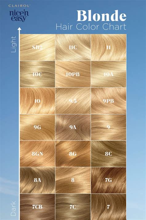 Nicen Easy Blonde In 2021 Easy Hair Color Hair Color Chart Hair Color