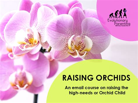 Raising Orchids A Course On Raising The High Needs Or Orchid Child