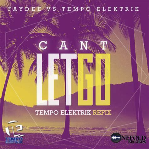 Faydee Can T Let Go Tekst - Faydee & Tempo Elektrik - Can't Let Go (Faydee Vs Tempo Elektrik) on