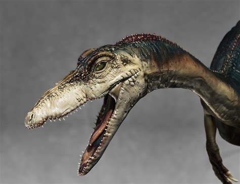 Coelophysis - ZBrushCentral
