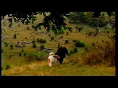 When his business partner (julie gayet) challenges him to this is a movie that sneaks up on you and grabs your heart before you know it. Lassie Movie Trailer (1994) - YouTube