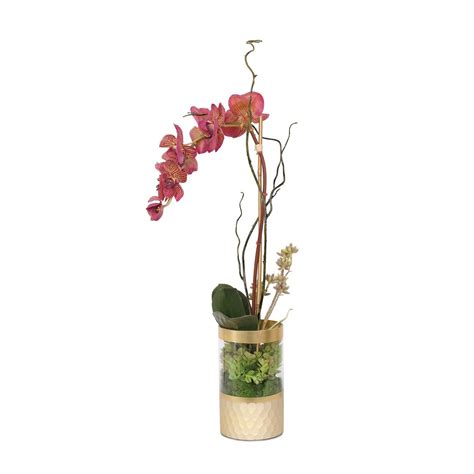 Jennysilks Silk Bugundy Phalaenopsis Orchid With Buds Real Touch Orchid Leaf Succulent Curly