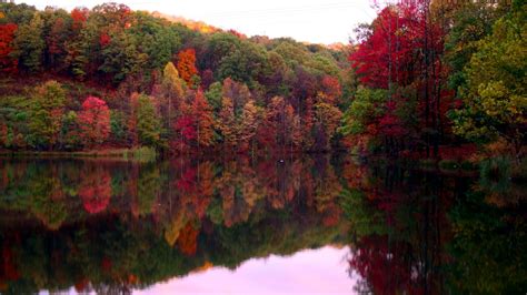 Wallpaper 2560x1440 Px Fall Forest Lake Reflection 2560x1440
