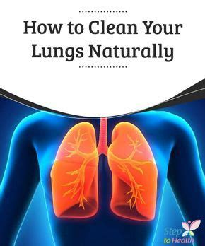 And, whenever possible, avoid mold exposure. How to Clean Your Lungs Naturally You should learn how to ...