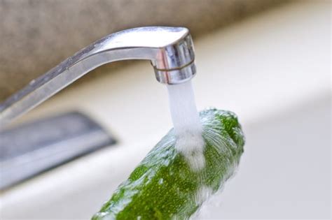 Check spelling or type a new query. How to Steam Zucchini in a Microwave (with Pictures ...