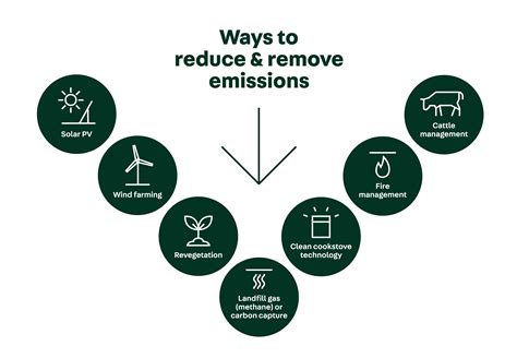 Verb gains in one area offset losses in another. Carbon offsets | Climate Active