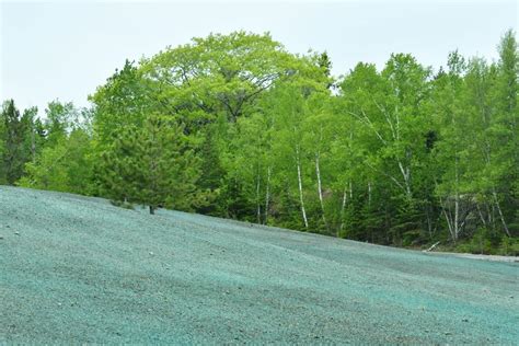 Conventional & specialized lawn services. How Much Does Hydroseeding Cost? (Pricing Per Acre ...