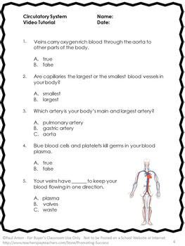 Grade 5 worksheets and online activities. Pin on School - Science