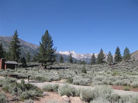 Maybe you would like to learn more about one of these? Crags Campground, Bridgeport, California