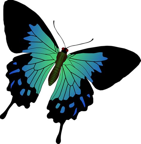 Download Swallowtail Butterfly Svg For Free Designlooter 2020 👨‍🎨