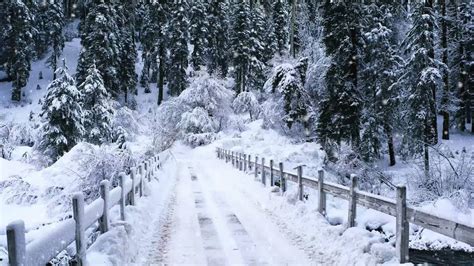 View the latest weather forecasts, maps, news and alerts on yahoo weather. Winter season - Murree witnesses first snowfall of the season