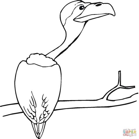 Later you can print it and color it as you like. Vulture Coloring Pages - Preschool and Kindergarten