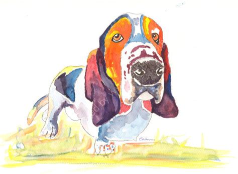 Bassett printing has built a reputation as a business that truly cares, we take great pride in our craft. art at dylshouse: Bassett Hound fine art print