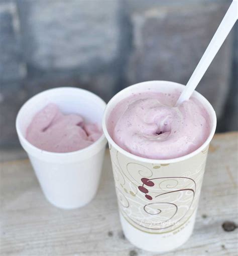 Bear Lake Raspberry Shake Showdown