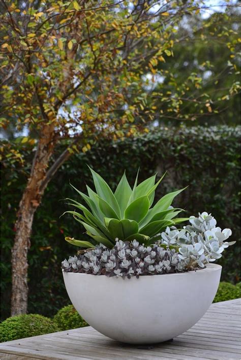 30 Ideas For Potted Plants On Patio