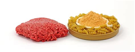 Lean Ground Beef Patty Stock Photo Image Of Patty Product 19364444