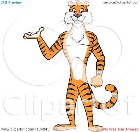 Triumph Tiger Cartoon PeepsBurgh