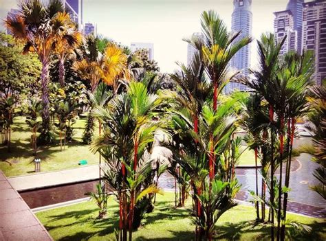 Singgah sebentar di masjid negara sebelum menuju ke. KLCC park #kualalumpur #kl #malaysia #citylife #klcc #park ...