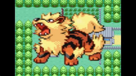 Make sure you do not talk to anyone wow mew is tha best pokimon in pokemon fire red so,we need mew pokemon how to get mew pokemon. How To Get Arcanine in Pokémon FireRed Version - YouTube