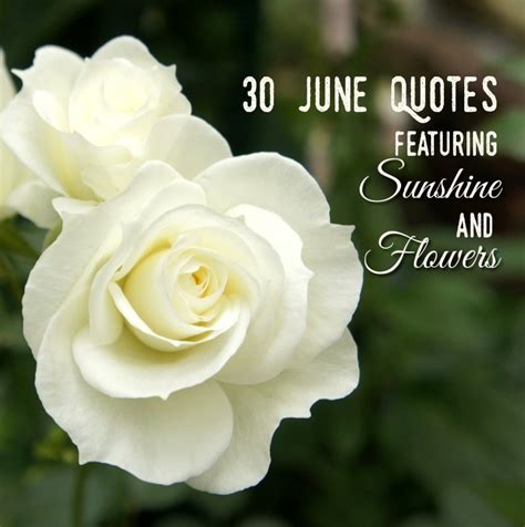 Discounts average $9 with flower.com coupons and promo codes. 30 June Quotes Featuring Sunshine and Flowers | Holidappy