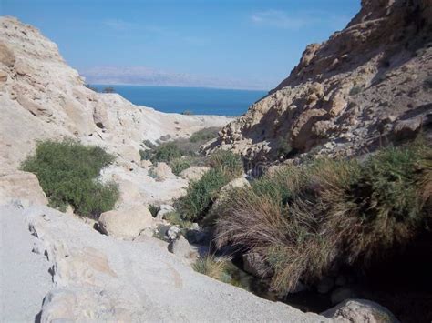 Ein Gedi Nature Reserve To The Dead Sea Israel Stock Image Image Of