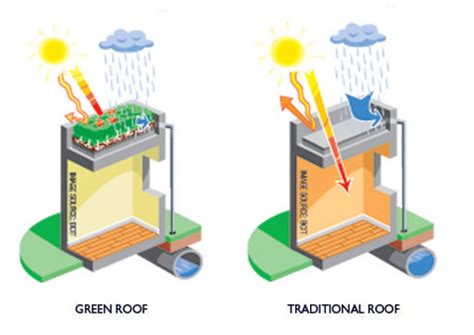 The Benefits Of Green Roofs Blog Live More By Minto