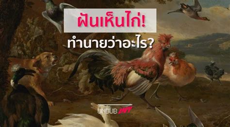 We did not find results for: เปิดตำราทำนายฝัน ทำนายฝันแม่นๆ ฝันเห็นสัตว์ชนิดนี้ ตีเป็น ...