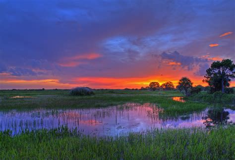 See full list on doi.gov Everglades National Park | Earth Blog