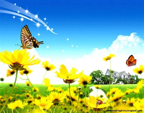Spring Flowers And Butterflies Wallpaper Wallpapers Gallery