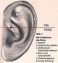 Maybe you would like to learn more about one of these? Ohrakupunktur - Paracelsus, die Heilpraktikerschulen
