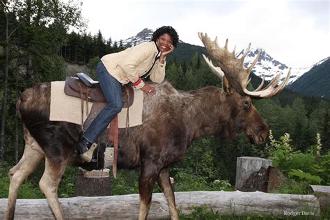 Ride A Moose Alaska Alaska Dmc