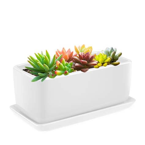 | planter pots long strip double layer flower pot for indoor & outdoor windowsill. 10" Rectangular Ceramic Succulent Planter Pot Container ...