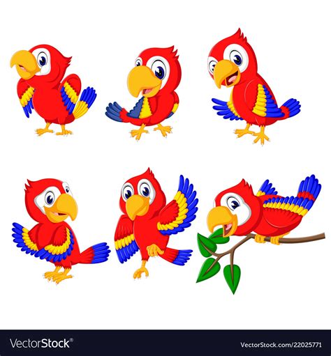 Collection Beautiful Red Parrots Royalty Free Vector Image