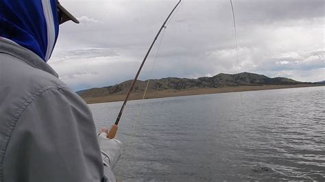 Dnr is phasing out this listing of trout lakes. Spinney Mountain Reservoir Rainbow Trout on the Fly - YouTube