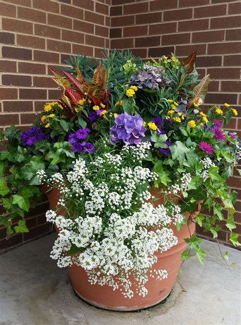 Best flowers for pots on porch. Seasonal pots are a cheerful addition to your entrance to ...