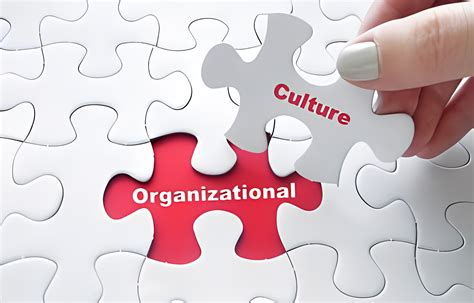 Definitive Guide To Types Of Organizational Culture Akrivia Hcm