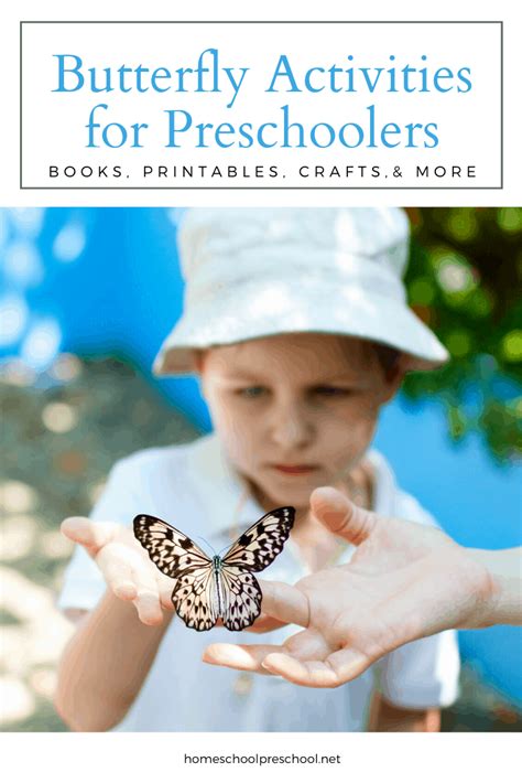 Butterfly Activities For Preschoolers Engaging Educational Fun