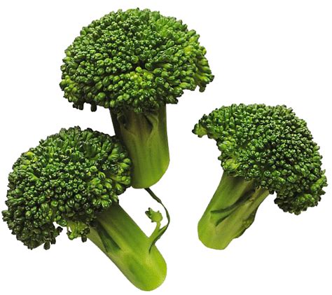 Download Broccoli Image Hq Png Image Freepngimg