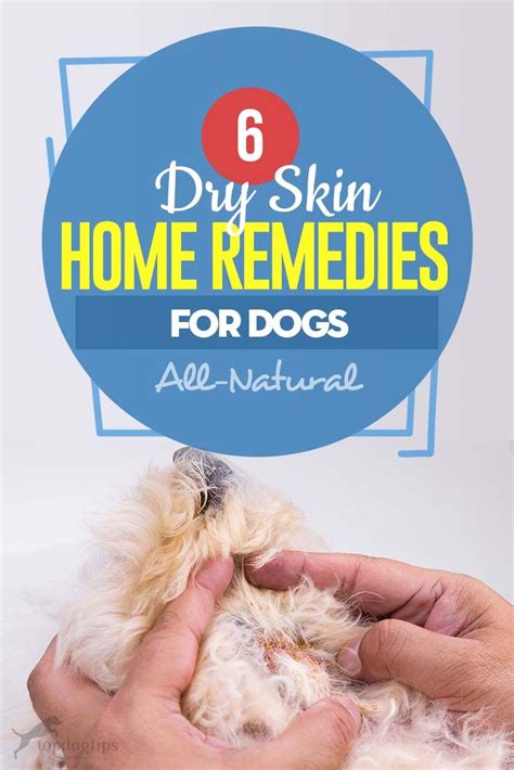 6 Dog Dry Skin Home Remedies In 2020 Dog Dry Skin Dry Skin Home