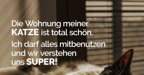 Sammlung von johanna geht dich nix an. Die Wohnung meiner Katze ist total schön! Ich darf alles ...