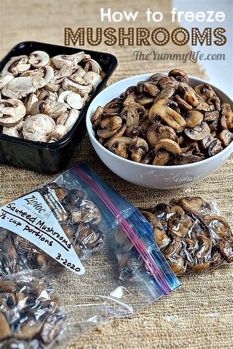 How to Freeze Mushrooms | Recipe in 2020 | Stuffed ...