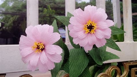 I got the idea for these flowers off of pinterest, but there was no tutorial, just a photo. How To Make Zinnia Paper Flower From Crepe Paper - Craft ...
