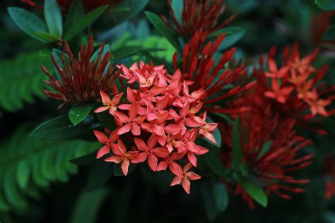 Maybe you would like to learn more about one of these? Our Bali garden
