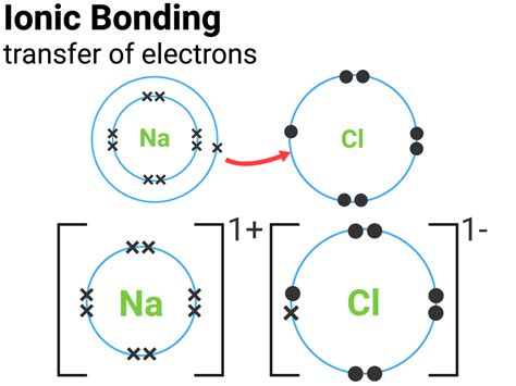 Ionic Bonding Dot And Cross Diagram My Xxx Hot Girl