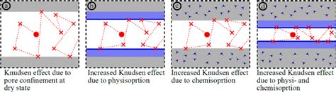 Schematic Sketch Of Molecular And Knudsen Diffusion Including