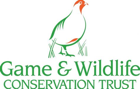 Conservation Advice South Downs Farmland Bird Initiative