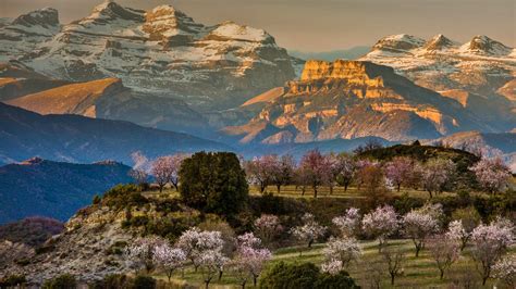 Spain occupies 85% of the iberian peninsula, which it shares with portugal, in history. Spain Spring - Bing Wallpaper Download