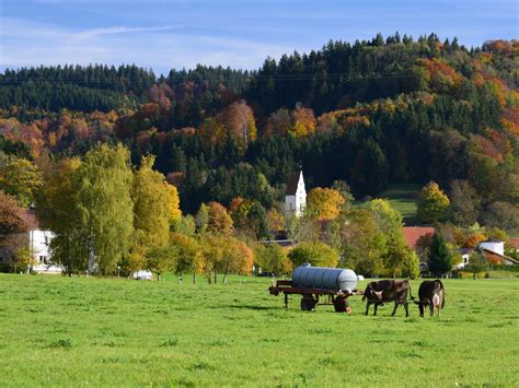 Speckbacherleitn 10, 83101 rohrdorf • wohnung mieten. Die Ortschaft Rohrdorf bei Isny im Allgäu